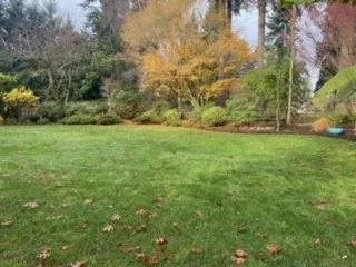 Custom garden landscaping experts serving Kingston, WA - Guillermo's Landscaping