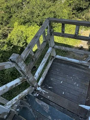 Guillermo's Professional Landscaping Logo