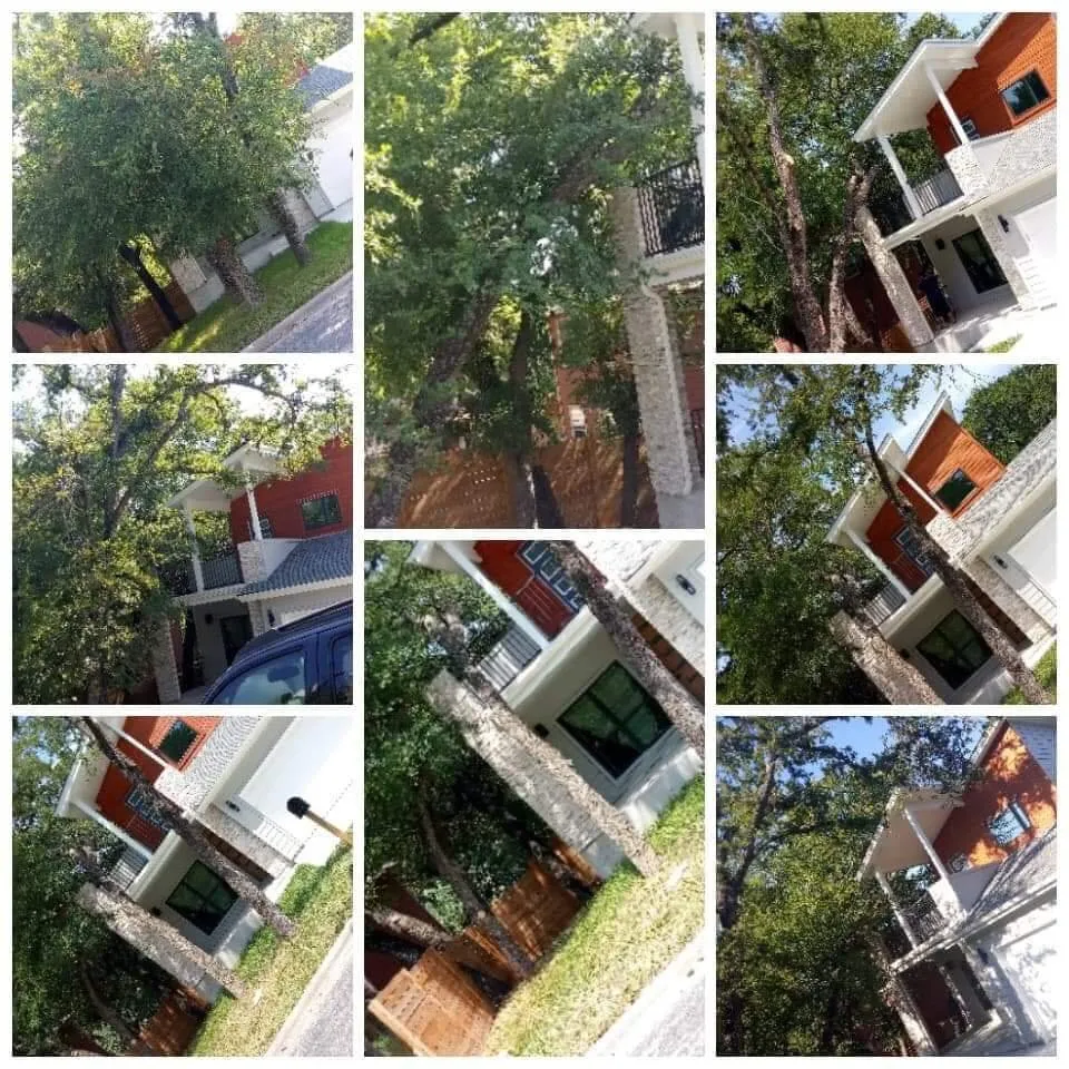 Custom lawn mowing service for homes in Del Valle, TX by Guil's Tree Services & Landscaping