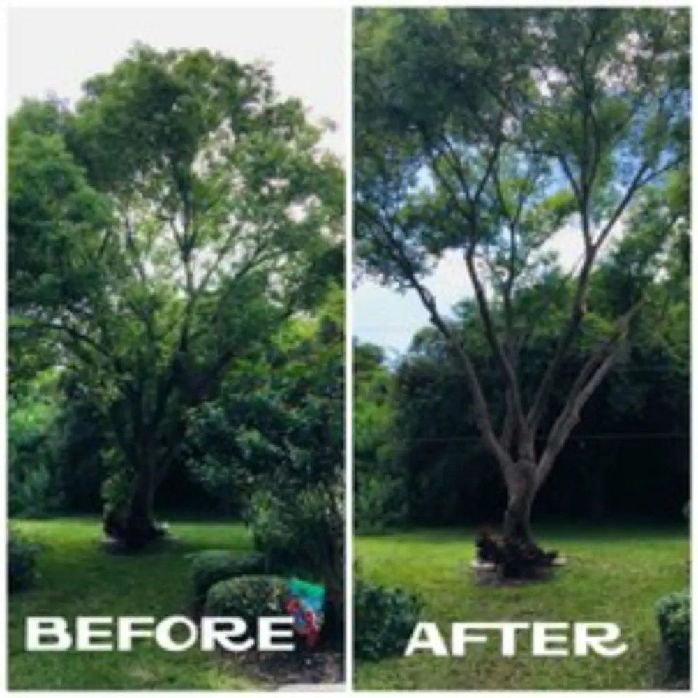 Custom lawn mowing service for year-round maintenance in Del Valle, TX by Guil's Tree Services & Landscaping