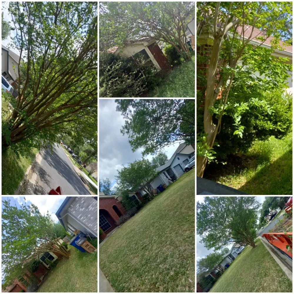 Professional landscaping services for beautiful yards across Del Valle, TX - Guil's Tree Services & Landscaping