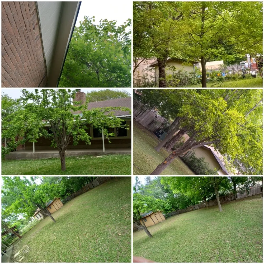 Expert landscape design experts serving Del Valle, TX - Guil's Tree Services & Landscaping