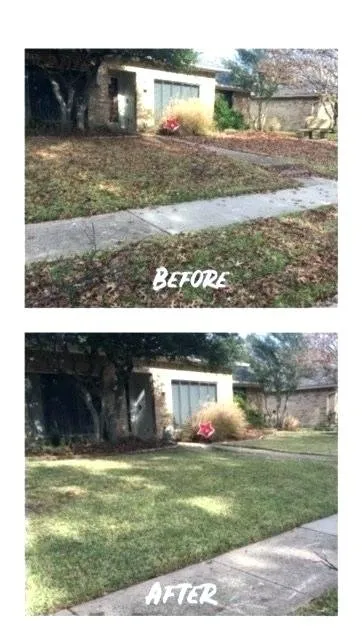 Trusted landscape design in Del Valle, TX - Guil's Tree Services & Landscaping