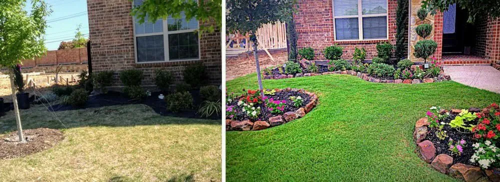 Expert yard cleanup service for beautiful yards across Del Valle, TX - Guil's Tree Services & Landscaping