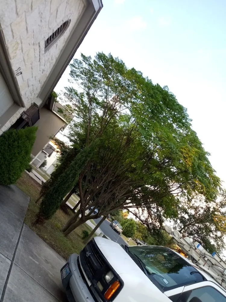 Trusted outdoor landscaping with custom design in Del Valle, TX by Guil's Tree Services & Landscaping