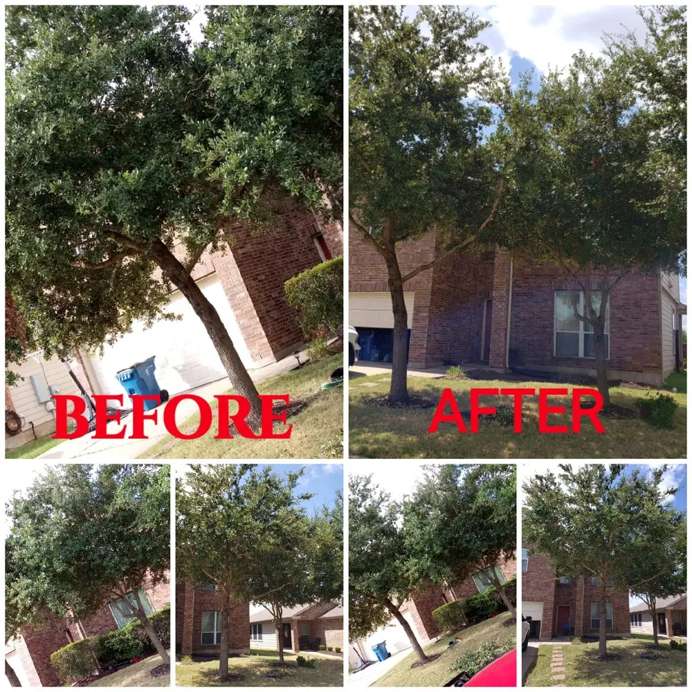Trusted yard maintenance experts serving Del Valle, TX - Guil's Tree Services & Landscaping