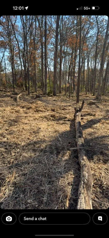 Affordable yard cleanup service in Davisville, MO by Guinn Forestry Services
