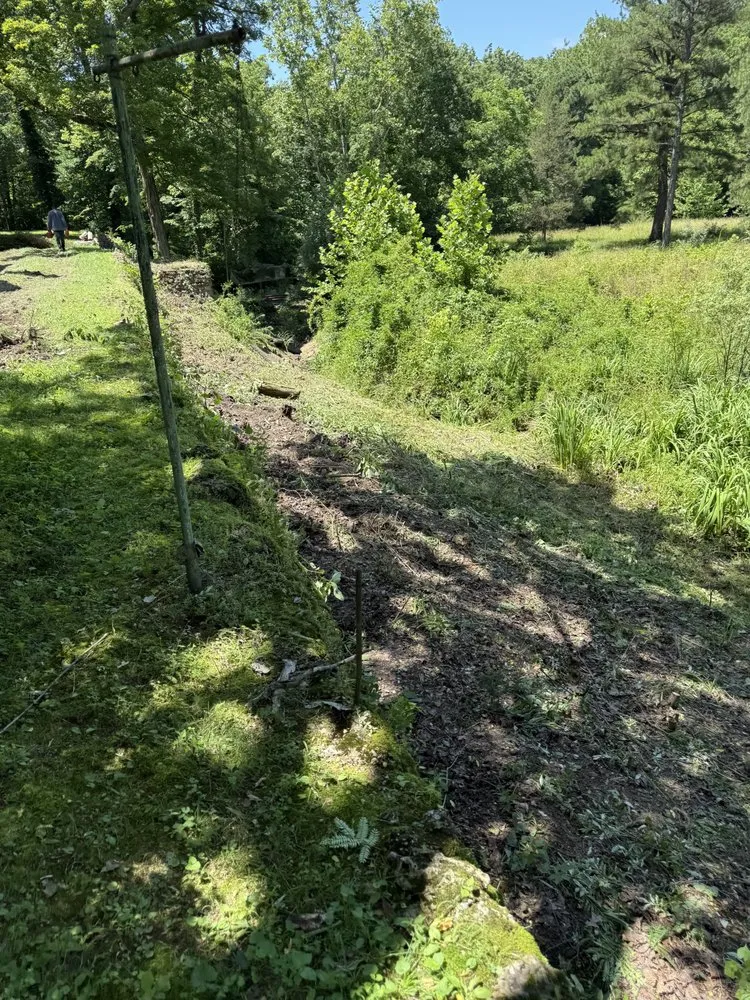 Trusted garden landscaping in Davisville, MO by Guinn Forestry Services