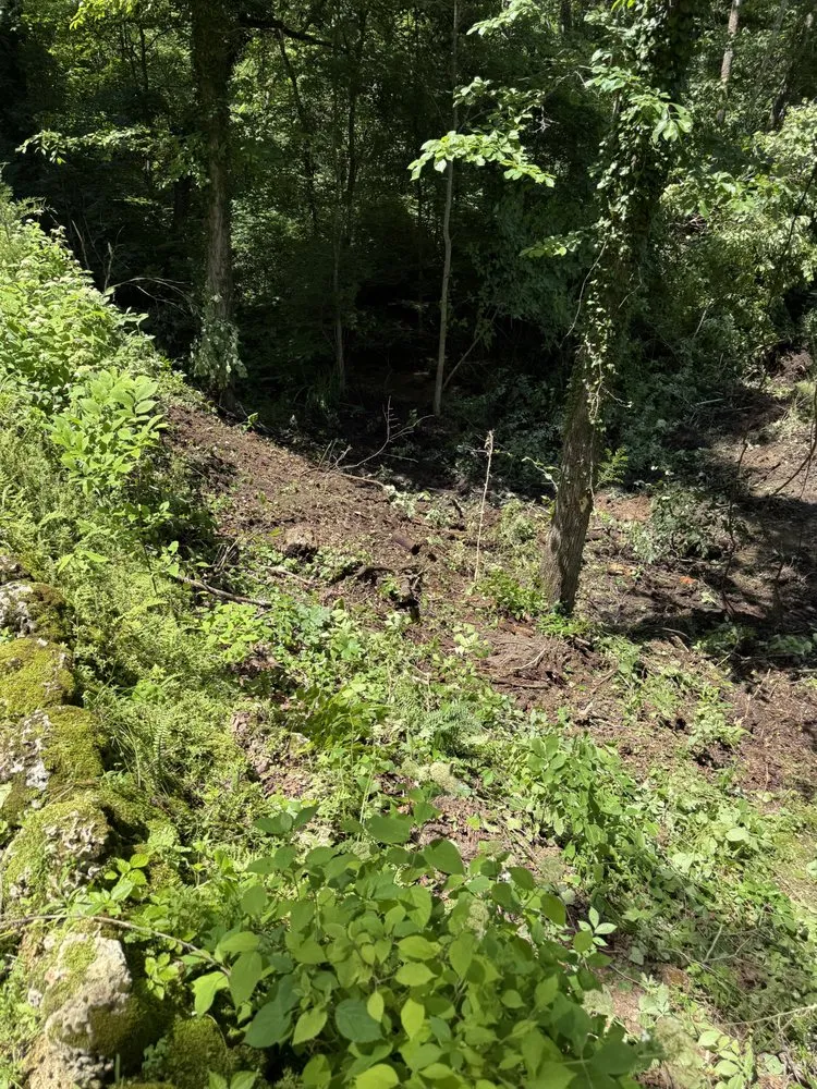 Local outdoor landscaping experts serving Davisville, MO - Guinn Forestry Services