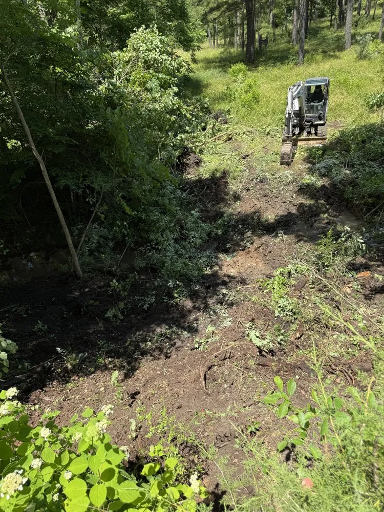 Top-rated landscape design for beautiful yards in Davisville, MO by Guinn Forestry Services