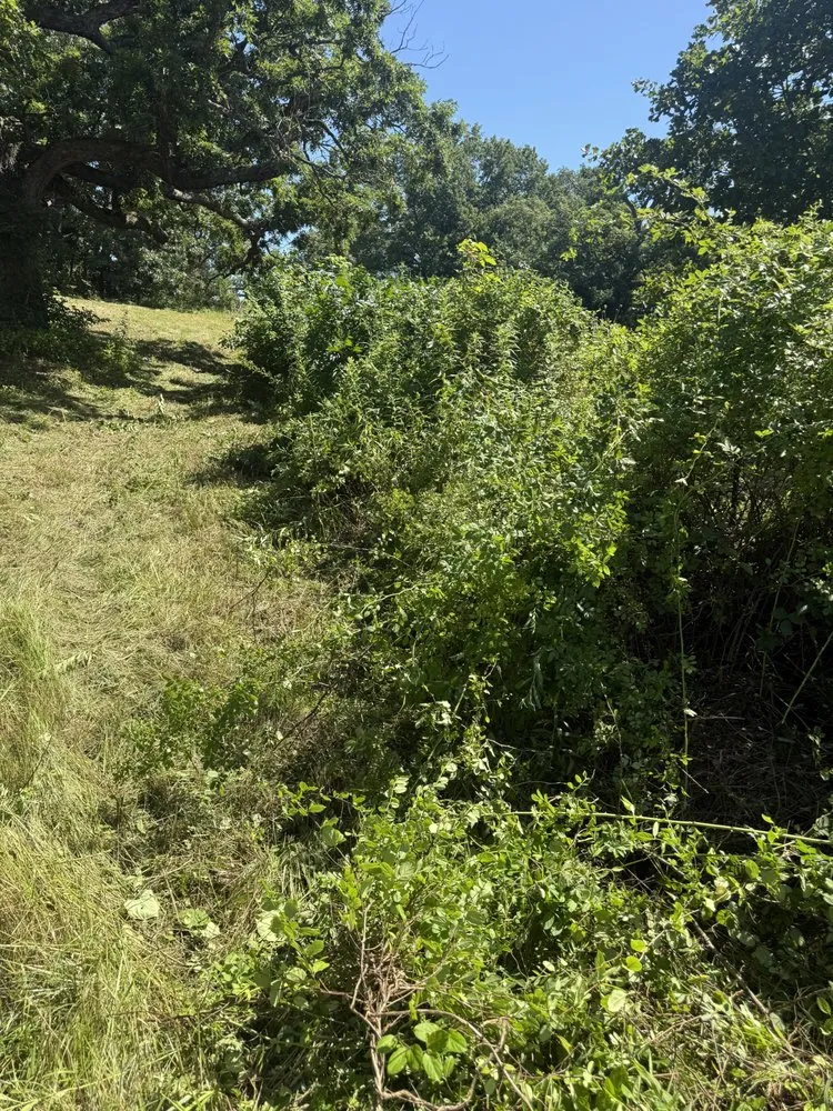 Reliable residential landscaping for outdoor upgrades across Davisville, MO - Guinn Forestry Services