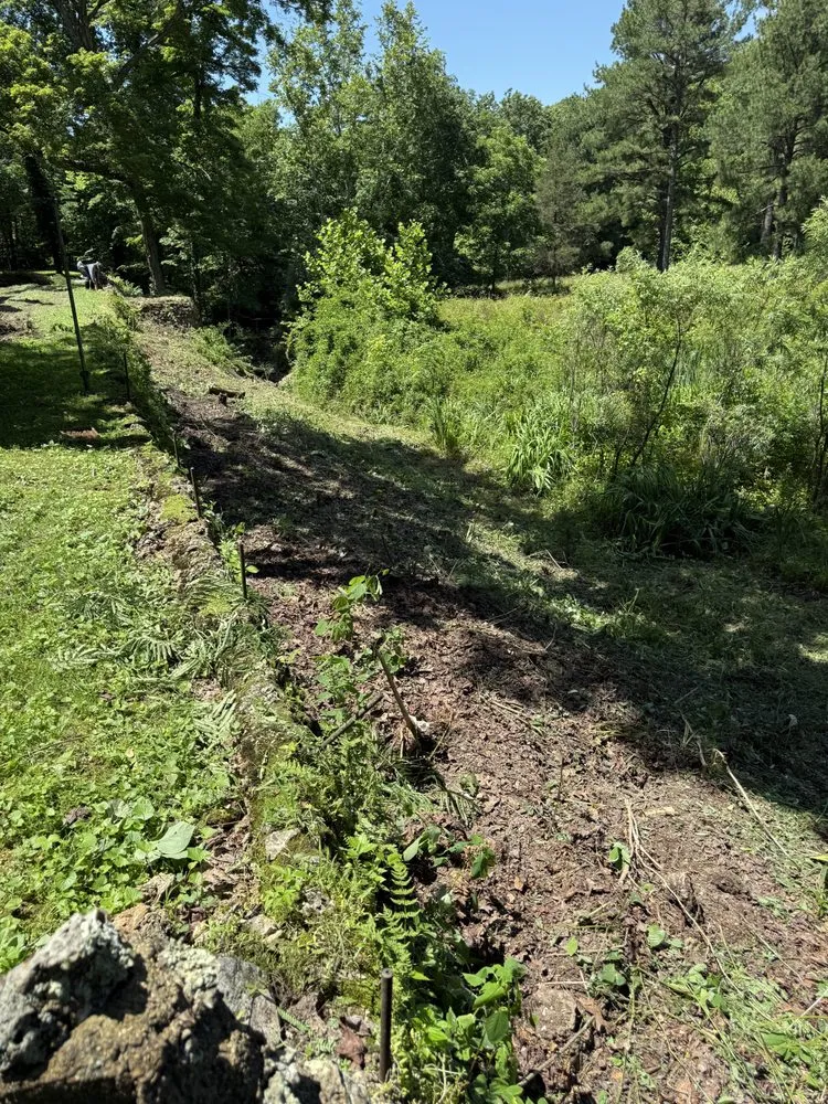 Professional garden landscaping in Davisville, MO - Guinn Forestry Services