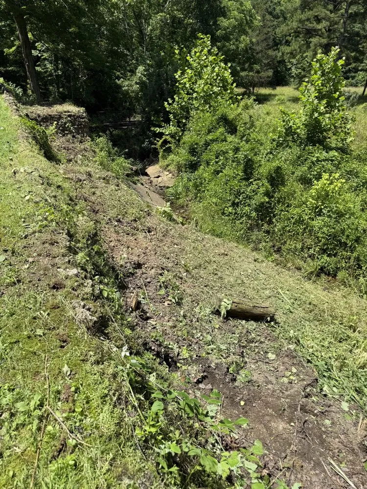 Professional yard cleanup service for homes in Davisville, MO by Guinn Forestry Services