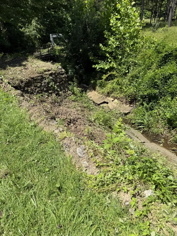 Trusted yard maintenance for residential properties in Davisville, MO by Guinn Forestry Services
