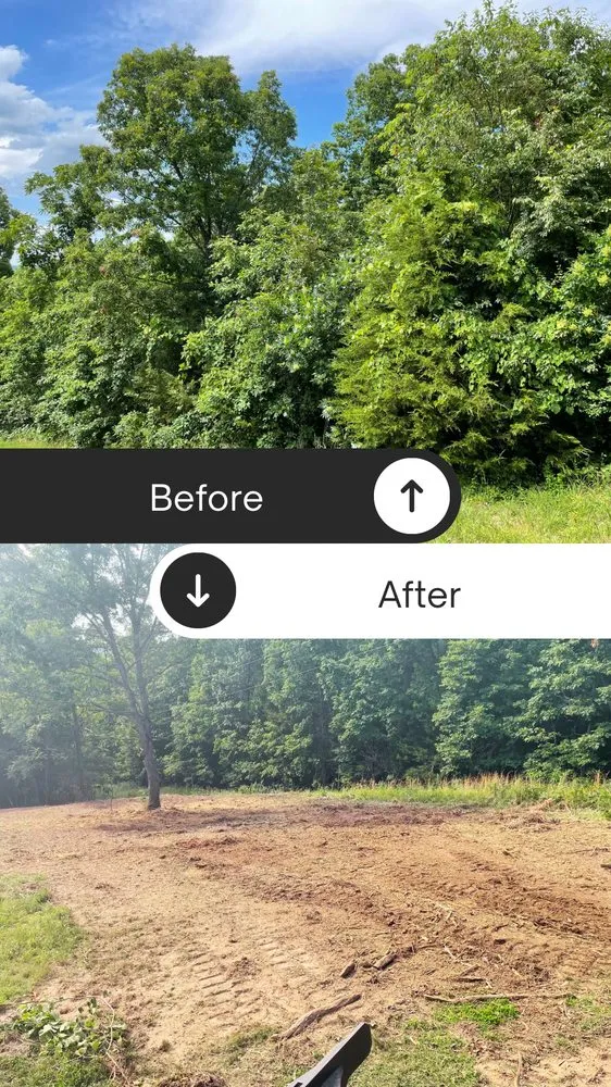 Local landscape installation experts serving Davisville, MO - Guinn Forestry Services