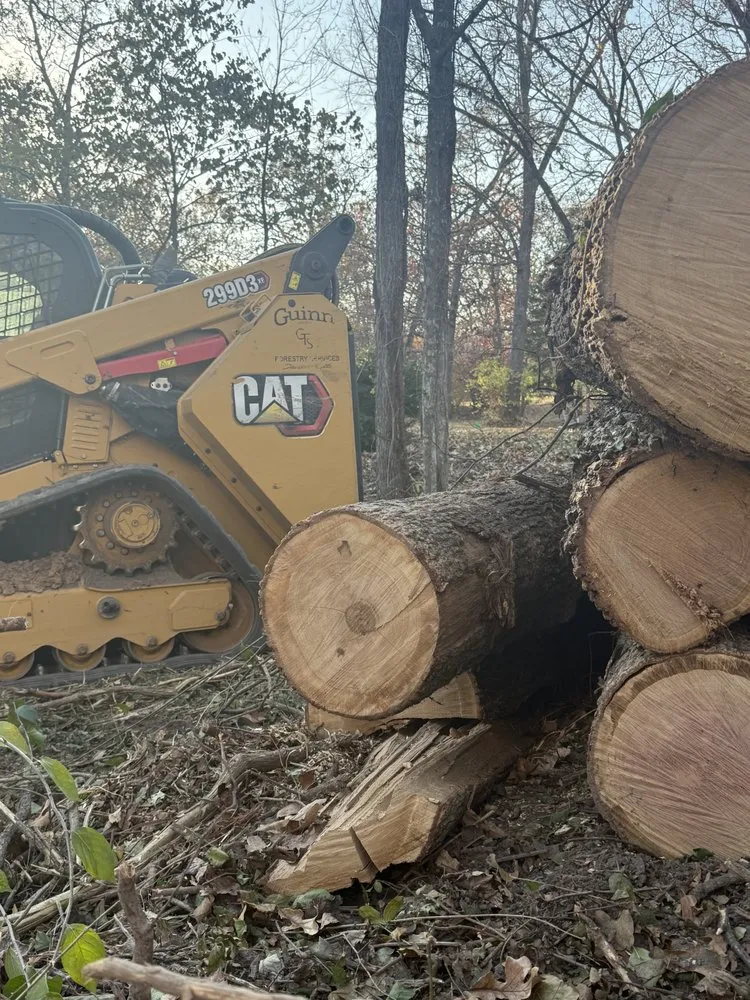 Expert yard maintenance for beautiful yards across Davisville, MO - Guinn Forestry Services