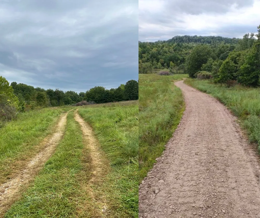Affordable lawn mowing service experts serving Davisville, MO - Guinn Forestry Services