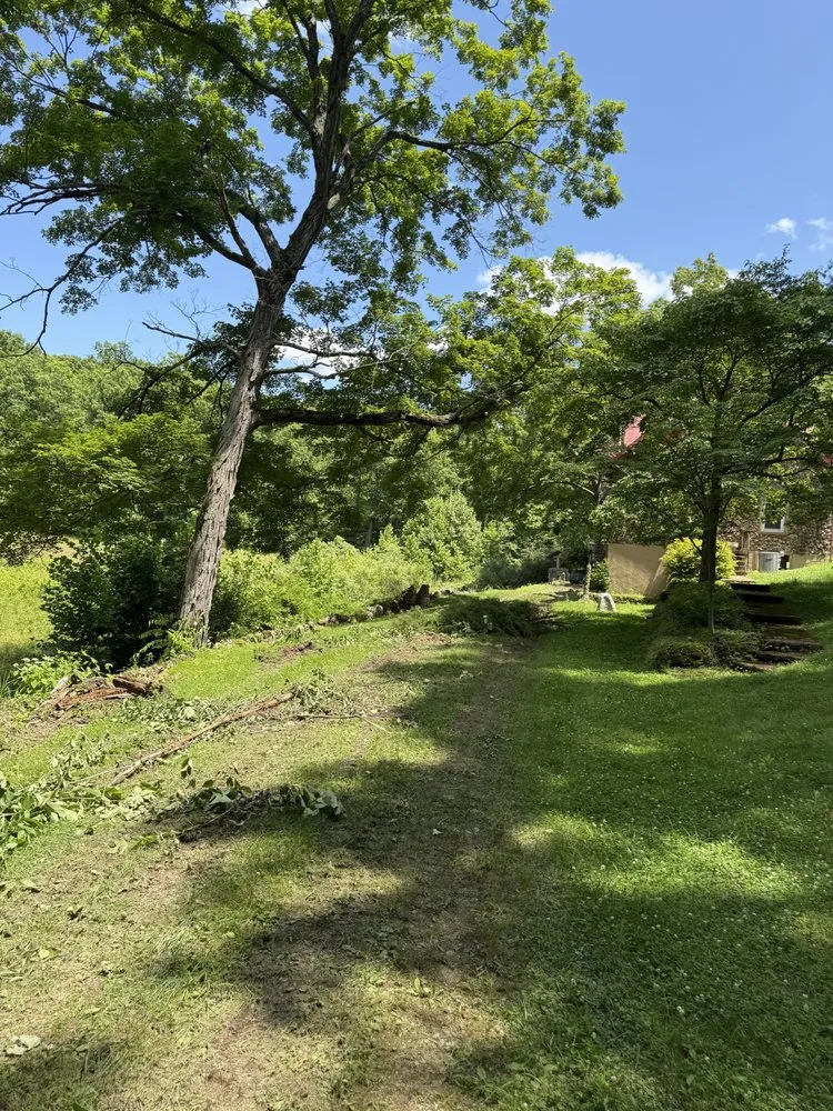 Reliable landscape design experts serving Davisville, MO - Guinn Forestry Services