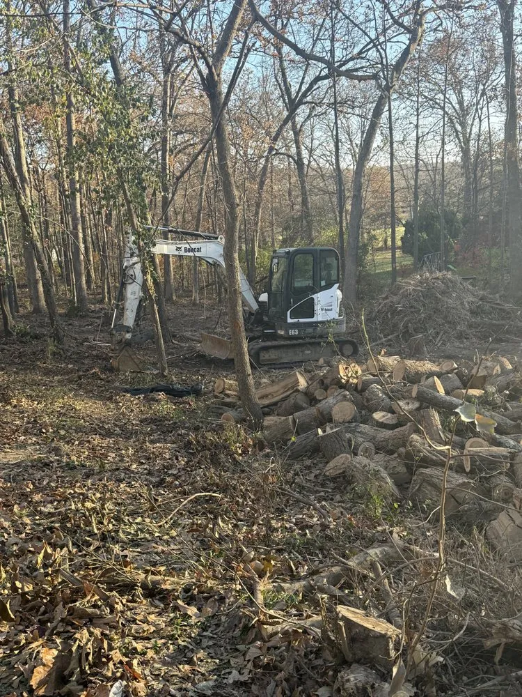 Expert residential landscaping for homes in Davisville, MO by Guinn Forestry Services