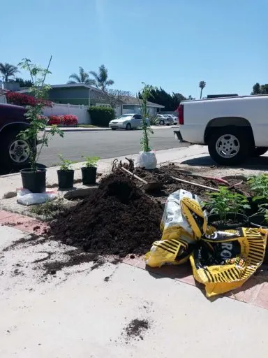 Top-rated yard maintenance for year-round maintenance in Camarillo, CA by Guizar Landscaping