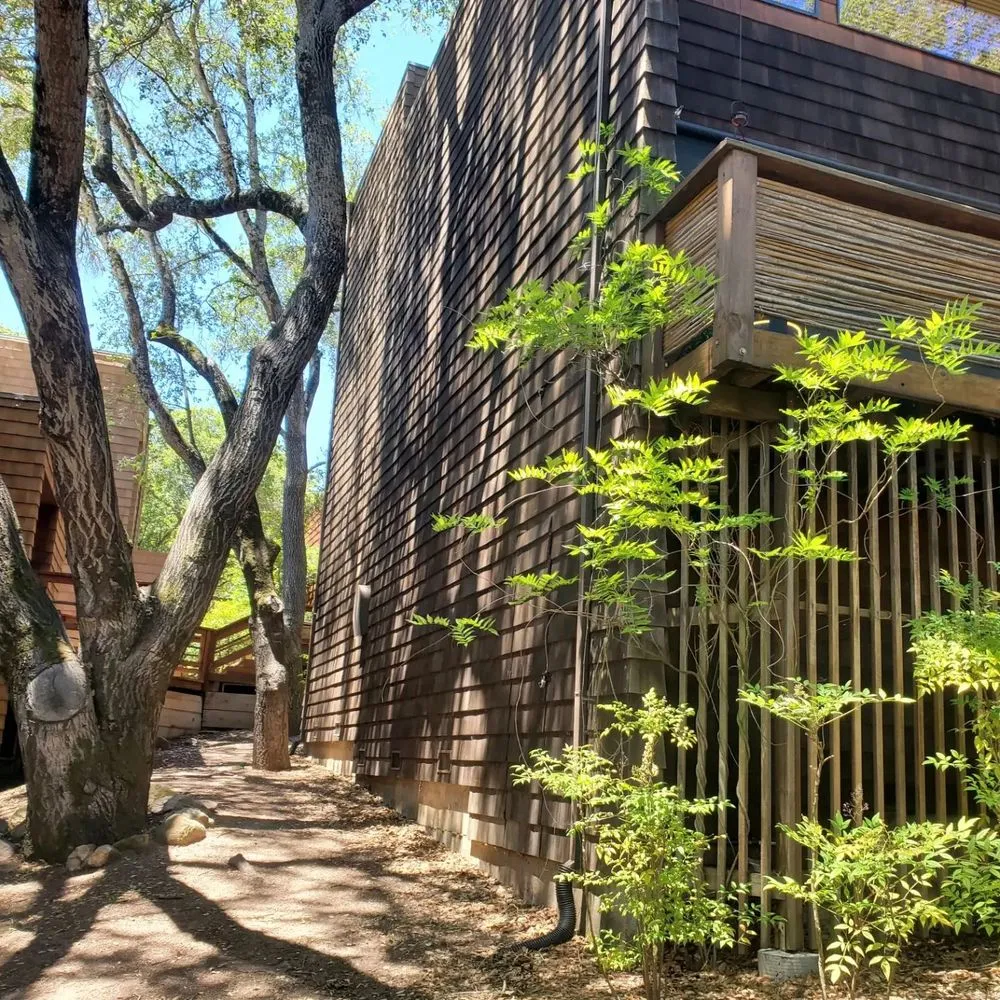 Professional residential landscaping in Santa Rosa, CA by Guizar Landscaping