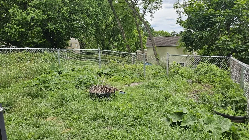 Top-rated residential landscaping in Pittsburgh, PA - Guizio Landscaping