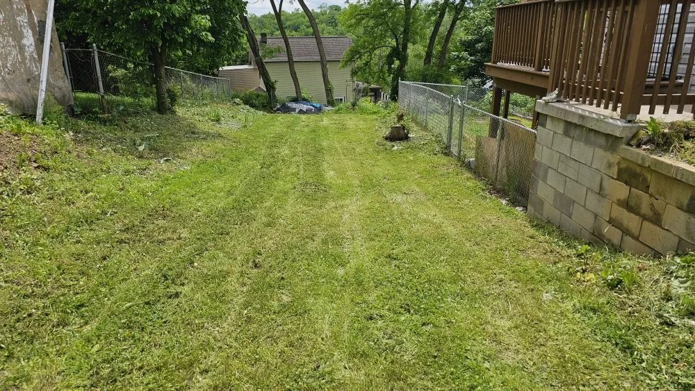 Professional yard cleanup service in Pittsburgh, PA by Guizio Landscaping