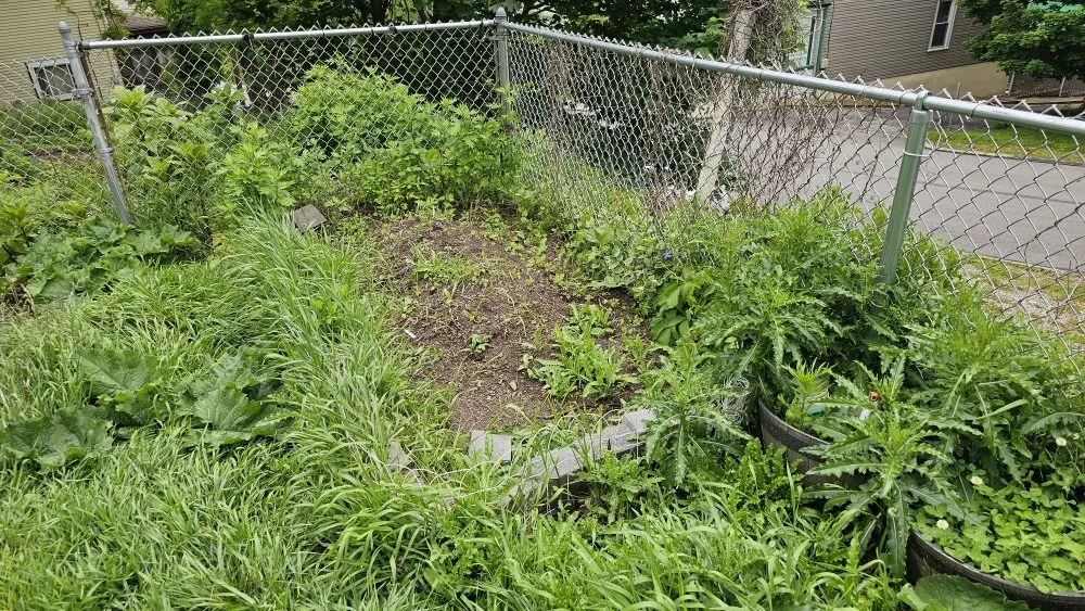 Reliable lawn mowing service experts serving Pittsburgh, PA - Guizio Landscaping