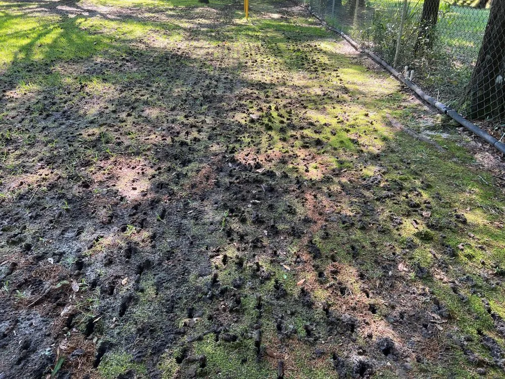 Trusted landscape design with custom design in Navarre, FL by Gulf Coast Aerations