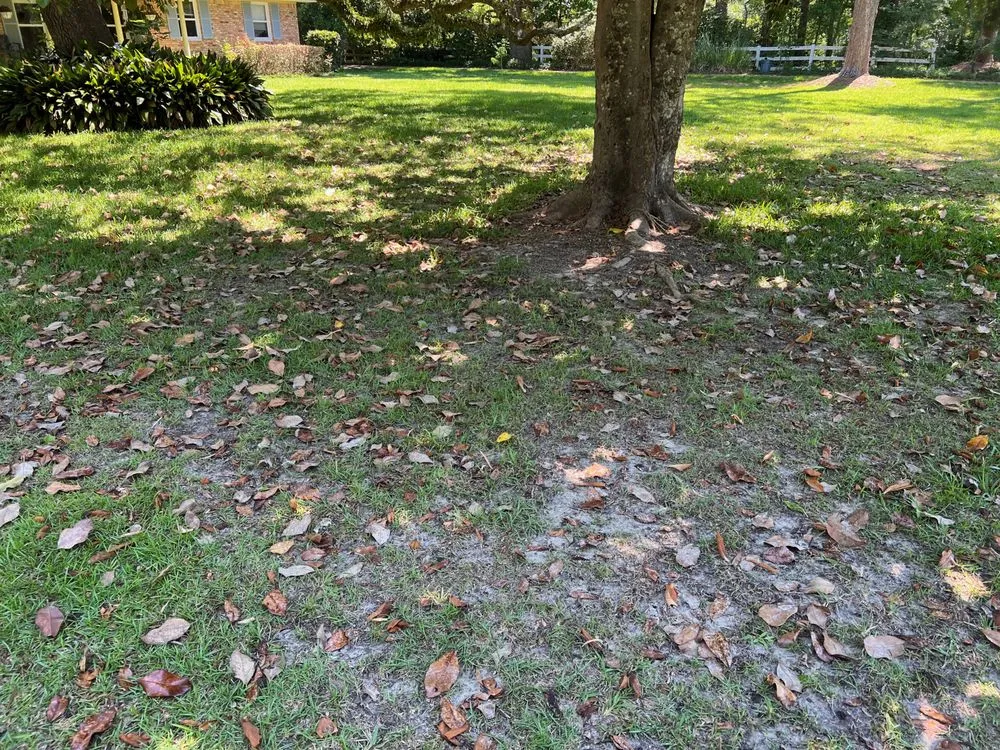 Top-rated garden landscaping in Navarre, FL - Gulf Coast Aerations