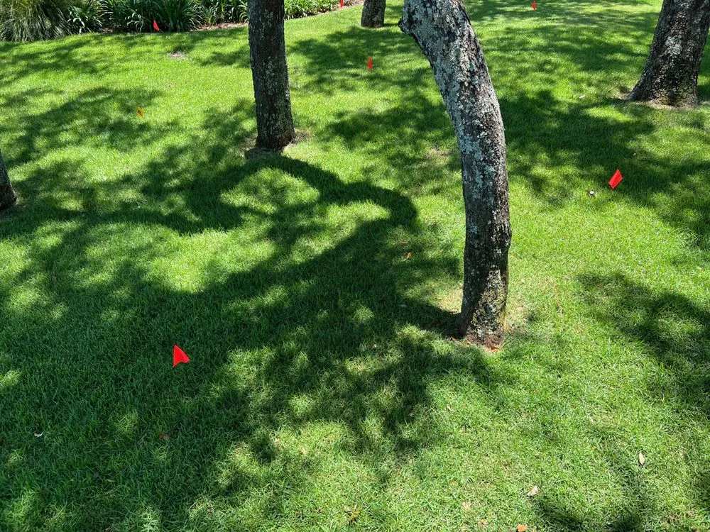 Trusted landscape design for homes in Navarre, FL by Gulf Coast Aerations