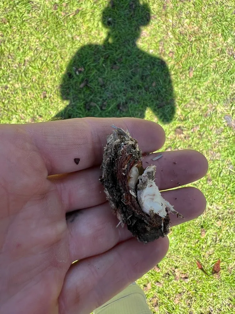 Trusted garden landscaping experts serving Navarre, FL - Gulf Coast Aerations