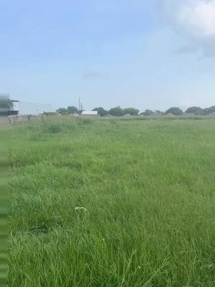 Top-rated yard cleanup service for year-round maintenance across Rosharon, TX - Gulf Coast Commercial Services