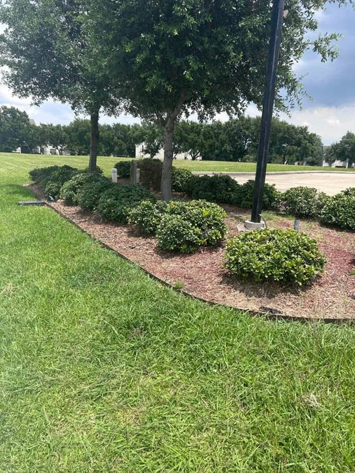Top-rated yard maintenance experts serving Rosharon, TX - Gulf Coast Commercial Services