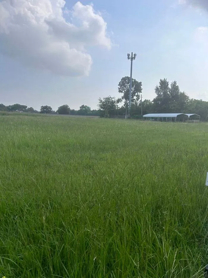 Top-rated lawn care service experts serving Rosharon, TX - Gulf Coast Commercial Services