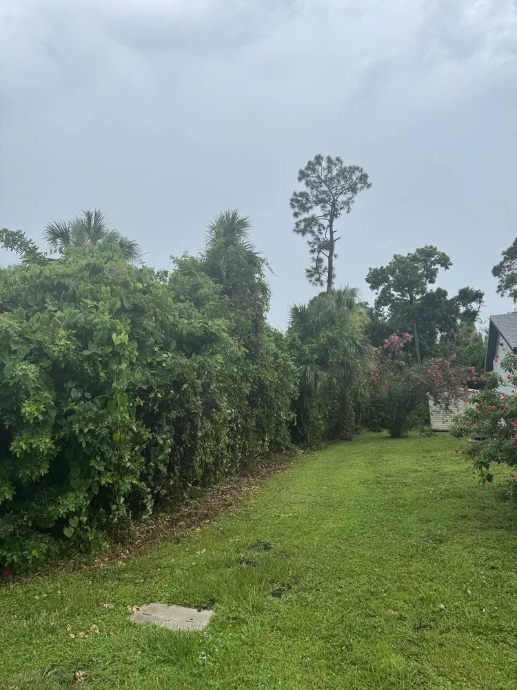 Professional lawn mowing service for outdoor upgrades across Port Charlotte, FL - Gulf Coast Environmental Works