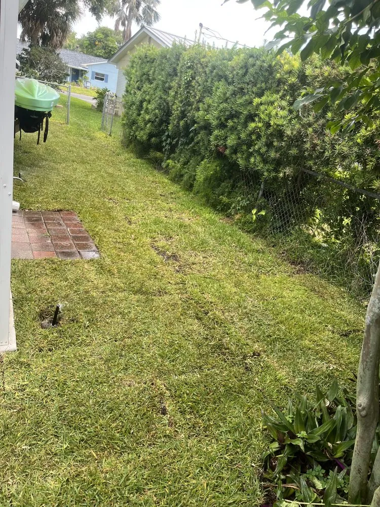 Local residential landscaping in Gulfport, FL - Gulf Coast Exterior Solutions