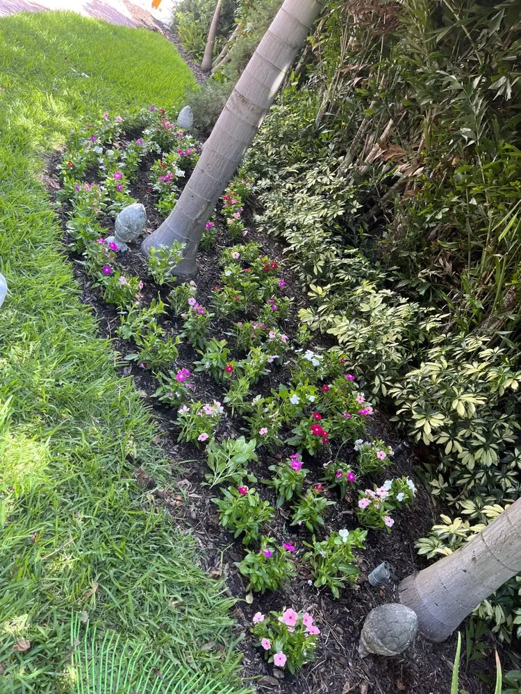 Reliable lawn mowing service for beautiful yards across Gulfport, FL - Gulf Coast Exterior Solutions