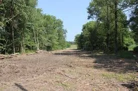 Reliable outdoor landscaping for homes in Branch, LA by Gulf Coast Land Management