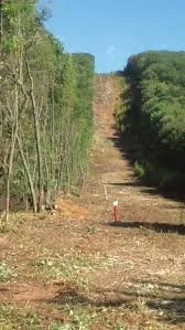 Affordable lawn care service for homes in Branch, LA by Gulf Coast Land Management
