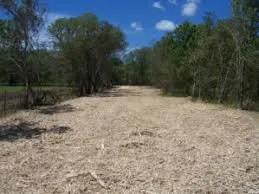 Affordable lawn mowing service in Branch, LA by Gulf Coast Land Management