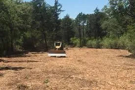 Top-rated yard cleanup service in Branch, LA by Gulf Coast Land Management