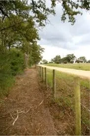 Local landscaping services for residential properties in Branch, LA by Gulf Coast Land Management