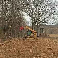 Top-rated yard cleanup service experts serving Branch, LA - Gulf Coast Land Management