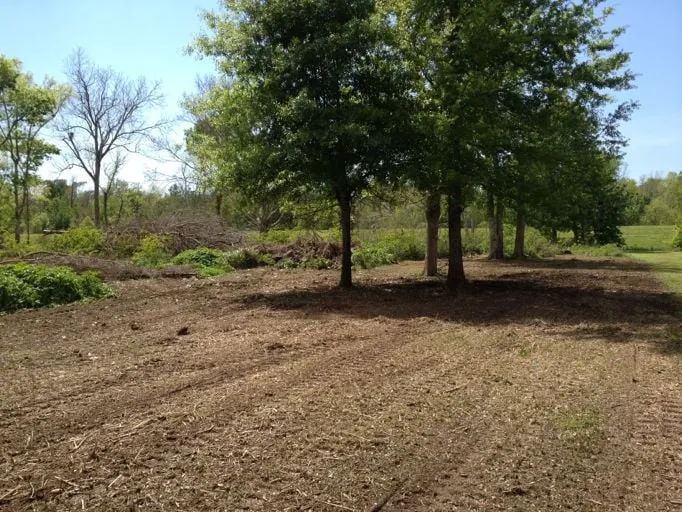 Reliable outdoor landscaping with custom design in Lumberton, MS by Gulf Coast Land Management