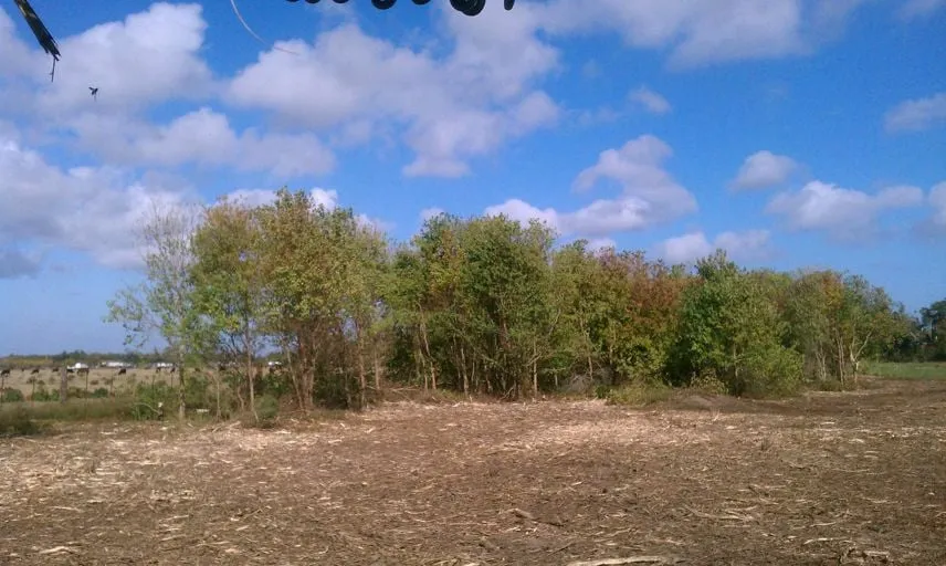 Expert lawn mowing service in Lumberton, MS by Gulf Coast Land Management