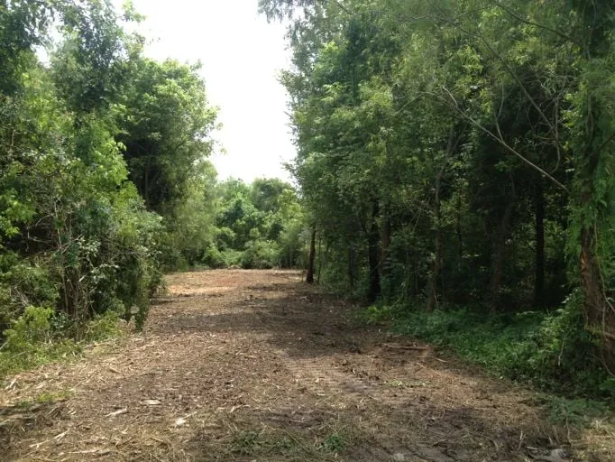 Custom lawn mowing service in Lumberton, MS by Gulf Coast Land Management