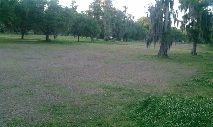 Trusted garden landscaping experts serving Lumberton, MS - Gulf Coast Land Management