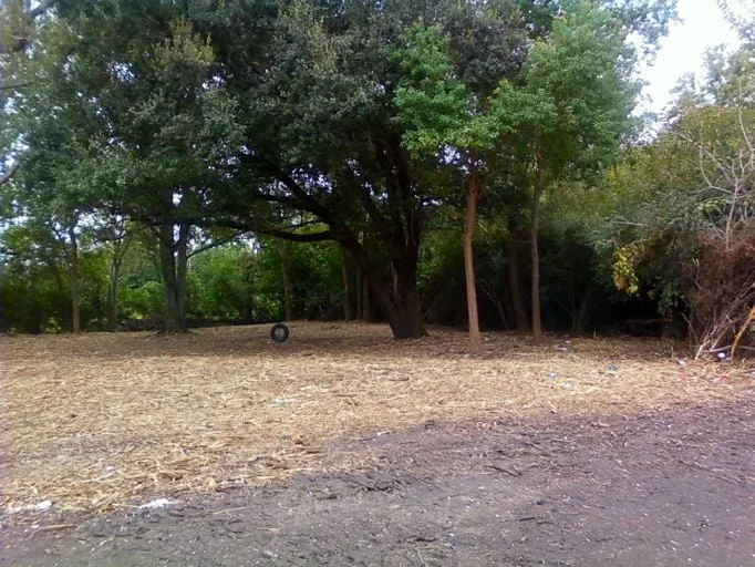 Trusted outdoor landscaping experts serving Lumberton, MS - Gulf Coast Land Management