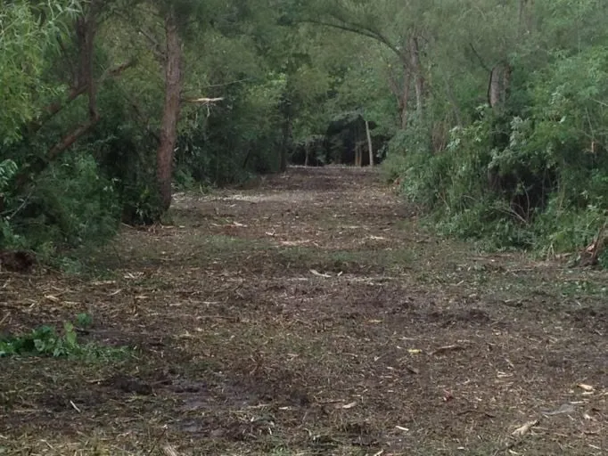 Top-rated residential landscaping in Lumberton, MS by Gulf Coast Land Management